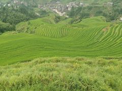 -龙脊梯田