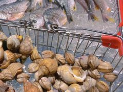 -马哥孛罗咖啡厅·Cafe Marco (厦门马哥孛罗东方大酒店)