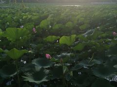 -长春市南湖公园