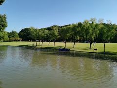 -上海方塔园
