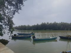 -东寨港红树林旅游区