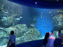 -暹罗海洋世界