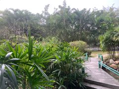 -深圳国际园林花卉博览园