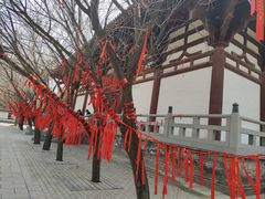 -西安青龙寺遗址景区