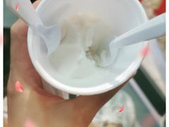 -洪馨椰子