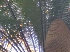 -野象谷景区