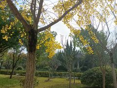 -合肥三国新城遗址公园