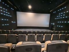 -深影国际影城(学院南路店CGS中国巨幕店)