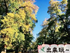 -墨尔本皇家植物园