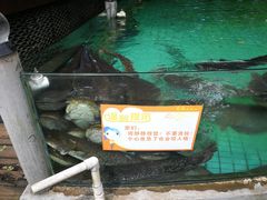 -天怡·鱼工厂(梅溪湖店)