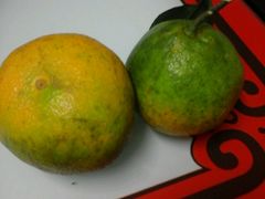 -小六农家乐(崇明西沙湿地店)