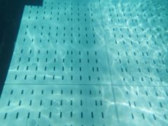 -重庆市奥林匹克体育中心-游泳跳水馆