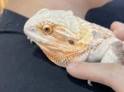 -Moni星球萌宠·小马宝莉·灵蛇·高端高阶全萌宠互动体验俱乐部(红豆国际广场店)