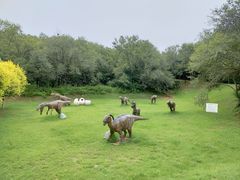 -北京张裕爱斐堡酒庄