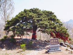 -岱崮地貌旅游区