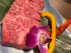 -神户牛焼肉専門店 牛一(道顿堀店)