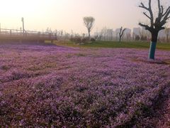 -汉长安城未央宫国家考古遗址公园