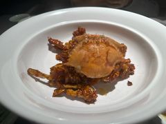 -南堂馆·新川菜(春熙路店)