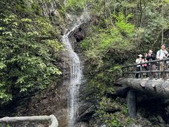 -石台牯牛降景区