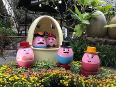 -100蛋泥浆浴