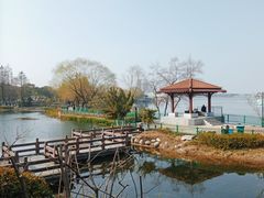 -金银湖国家城市湿地公园