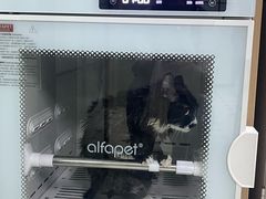 -爱佳宠物中心医院24H·CT·骨外科·猫专科(瑶海万达店)