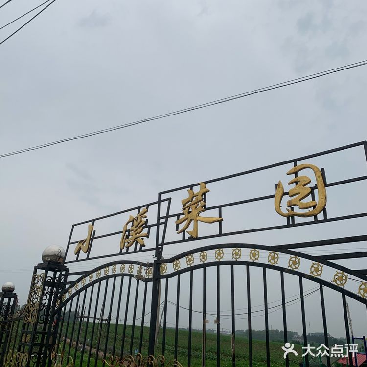 又到了采摘菜类的季节 为了食品安全 今年选择了小溪菜