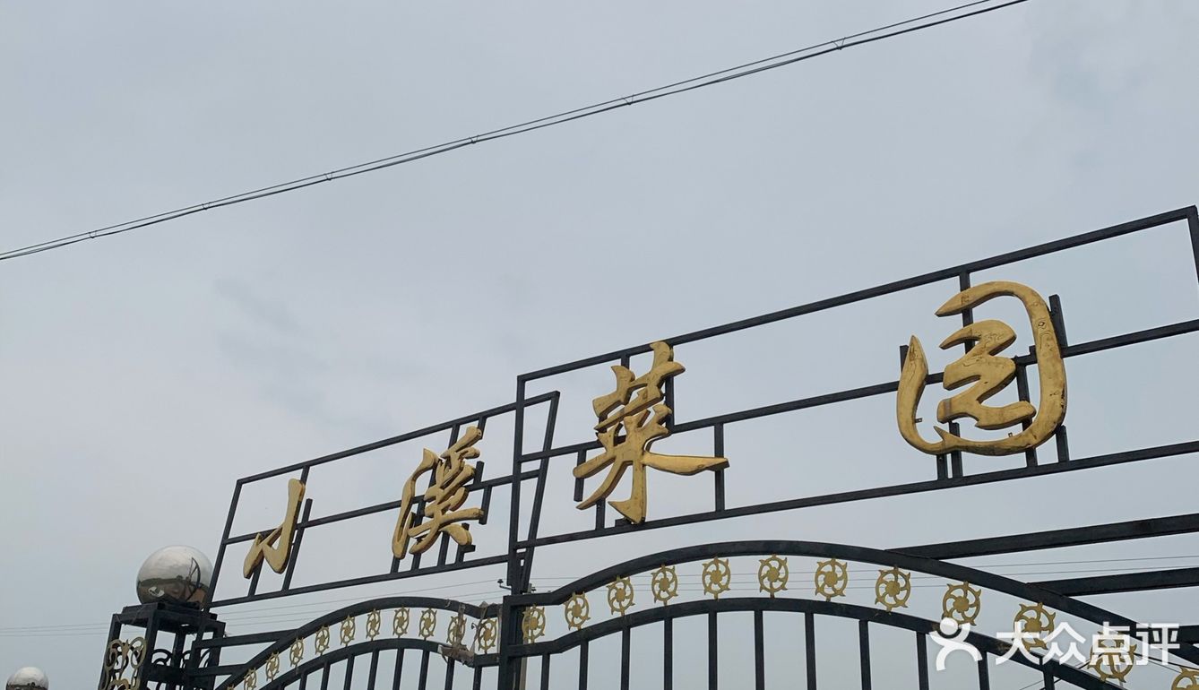 又到了采摘菜类的季节 为了食品安全 今年选择了小溪菜