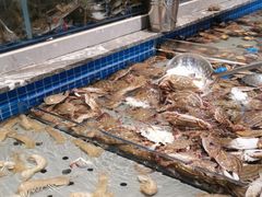 -一方渔歌蒸汽海鲜自助(文化路万达广场店)