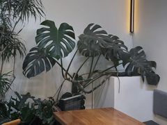 -小意思咖啡店(草桥店)
