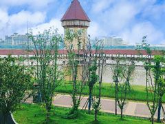 -九龙湖公园