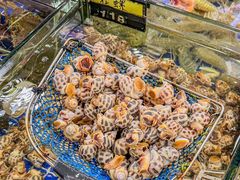 -明记海鲜大排档(巽寮湾店)