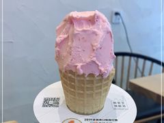-野人先生现做冰淇淋(北京环宇荟店)