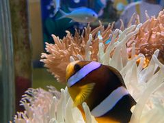 -太平洋海底世界