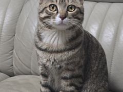 -快乐街区(长沙方圆荟店)