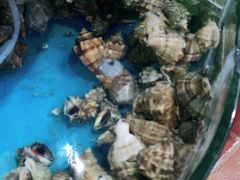 -同道蒸汽海鲜烧烤自助(刘庄夜市店)