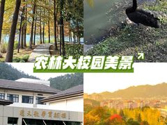 -浙江农林大学(东湖校区)