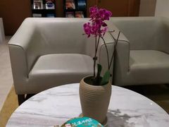 -济南遥墙国际机场-叁号贵宾厅