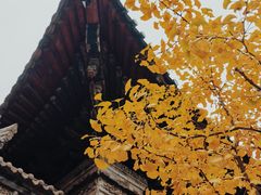 -大学习巷清真寺