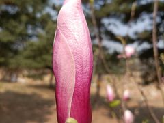 -北京西山国家森林公园