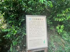 -十八棵（老龙井）御茶园(老龙井店)