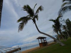 -三亚海棠湾万丽度假酒店