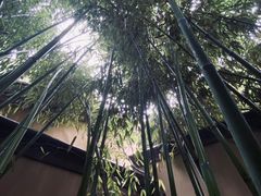 -春晖园度假酒店温泉