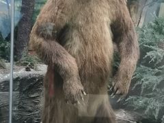 -国家自然博物馆