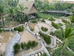 -新加坡飞禽公园