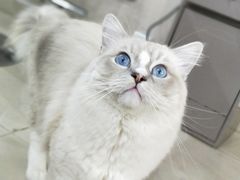 -1点点(东门电玩城店)