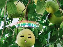 -国家植物园南园