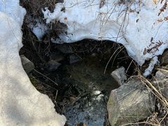 -亚布力新体委滑雪场