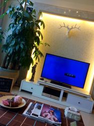 -ＤＯＭＯプロの美容サロン