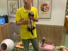 -藦茜花园宠物主题亲子互动体验馆(国顺东路店)